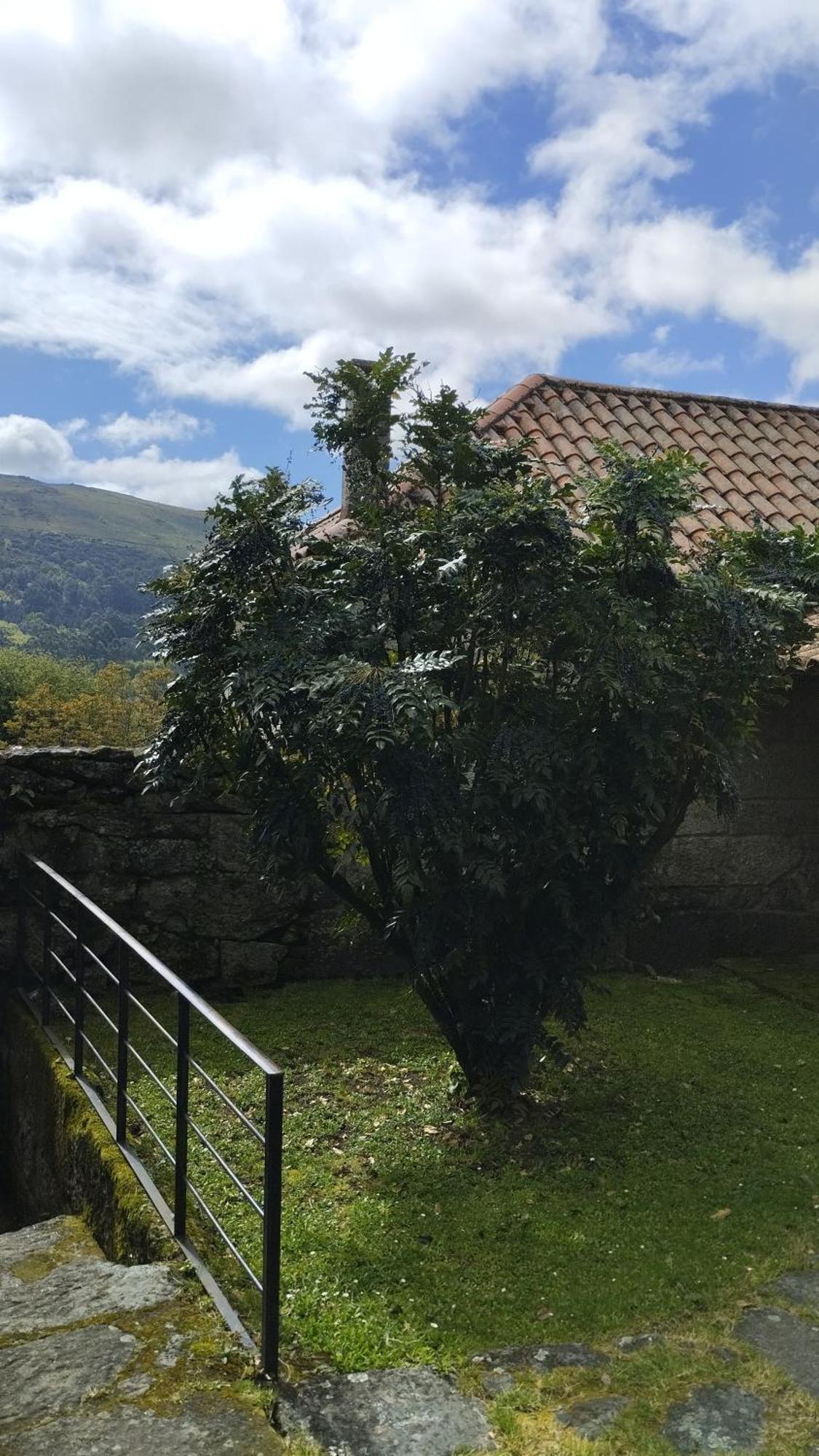 Pineiro  Rectoral De Prado旅馆 外观 照片